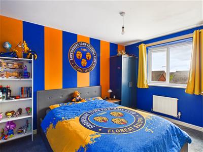 Picture 9